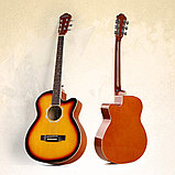 Гитара  Caravan music HS-3910 SB, фото 3