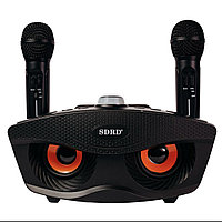 Отбасылық караоке жүйесі SDRD -306