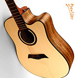 Электроакустическая гитара Deviser LQ-570, фото 2