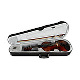 Скрипка R.Empire 4/4, фото 4