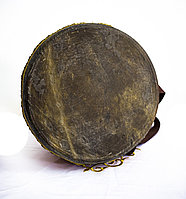 Дауылпаз малый