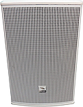 PROEL LT10PW - Пассивная акустическая система, фото 3