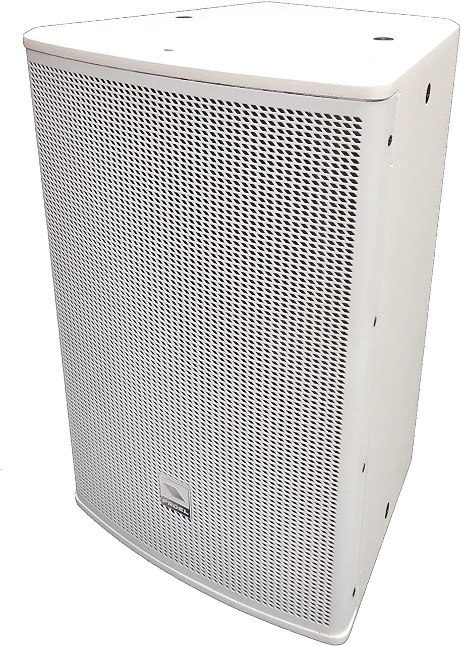 PROEL LT10PW - Пассивная акустическая система, фото 1