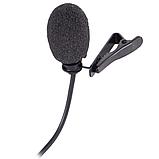 PROEL WM700H Радиосистема с поясным передатчиком и головной гарнитурой, фото 2