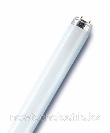 Лампа люминесцентная 2-х цокольная FL18W/765 G13 Лисма, фото 1