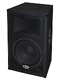 Двухполосная концертная акустическая система B-52 Professional SLX-15, фото 3