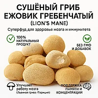 Ежовик гребенчатый 100 г лечебный гриб для мозга, нервной системы и энергии.