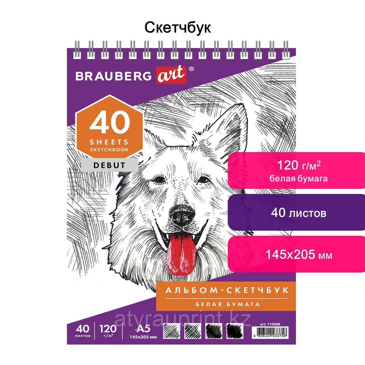 Скетчбук, белая бумага 120 г/м2, 145х205 мм, 40 л., гребень, жёсткая подложка, BRAUBERG ART DEBUT, 1, фото 1