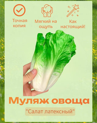 Мастурбацияға арналған қыздардың фотосуреттері