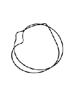 Кольцо уплотнительное передней крышки (IPD)