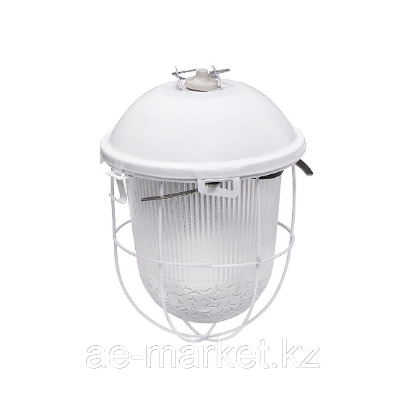 НСП 02-100-003 "Желудь" IP52 (с/реш) (5)