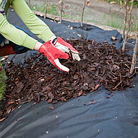 Геотекстиль термоскрёпленный. Плотность 100 гр./кв.м. (1,6х25 м.). Чёрный