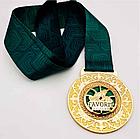 Медаль за спортивные достижения, фото 8