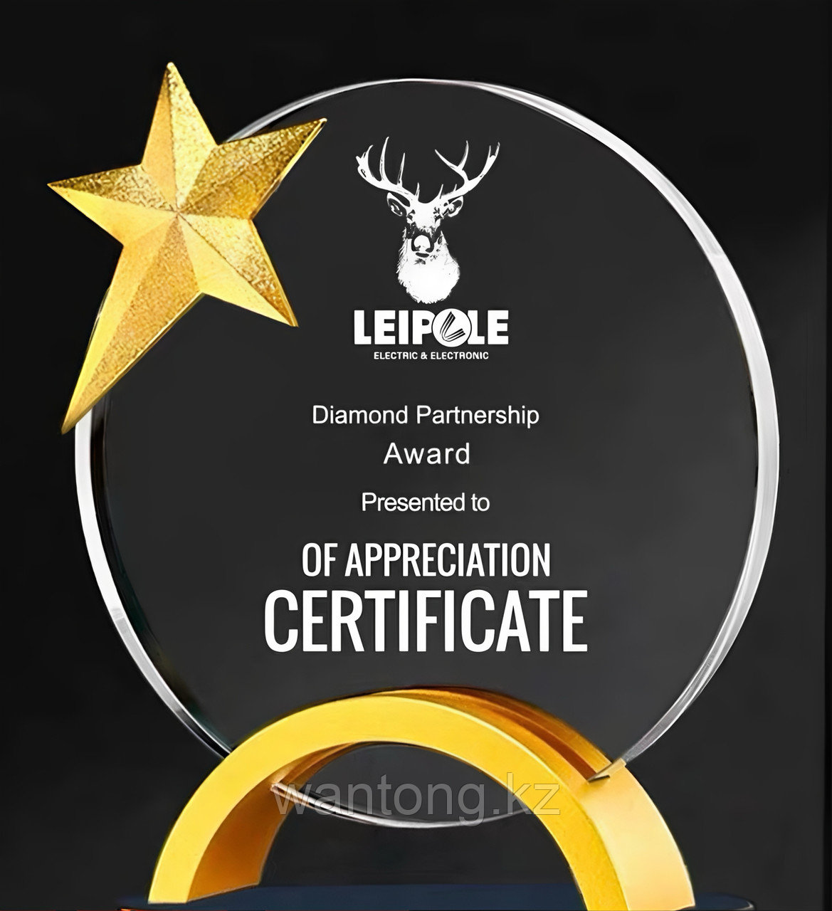 Наградная статуэтка T-05