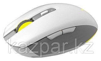 Мышь Delux M820DC белый, фото 1