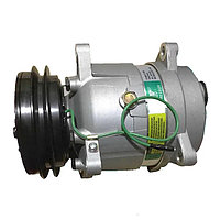 Компрессор DZ95189154010