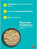 Шампунь для объема тонких волос с протеинами Matrix Total Results High Amplify Protein Shampoo 300 мл., фото 2