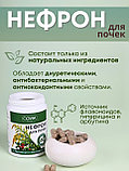 БАД Нефрон для почек с брусникой и золотарником, 60 капс., фото 5