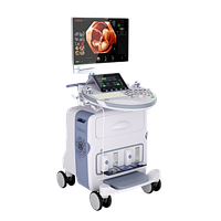 УЗИ аппарат GE Voluson E10