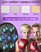 Тренировочный снаряд 30341856_YK-005 черный