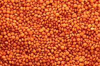 Чечевица красная Сплит