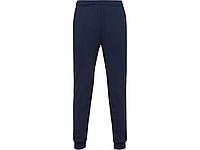 Брюки спортивные Rodas мужские, синий нэйви
