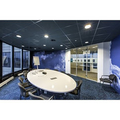 Потолочные и стеновые панели Рокфон Колорол А24 2400*1200*40