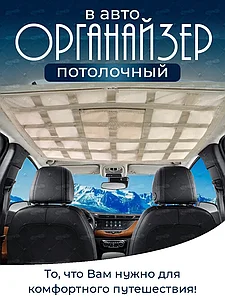 ORGIN Бежевый 70*50 ұяшықты машинада төбеге арналған органайзер