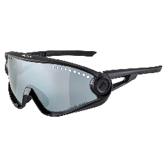 Очки солнцезащитные Alpina Dimont