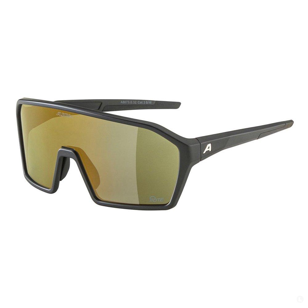 Очки солнцезащитные Alpina Ram 2.0, фото 1