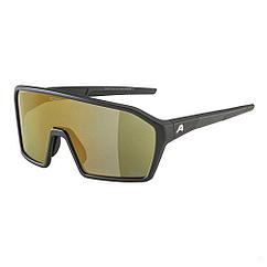 Очки солнцезащитные Alpina Ram 2.0