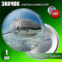Сувенирный значок "Акула" (58мм)