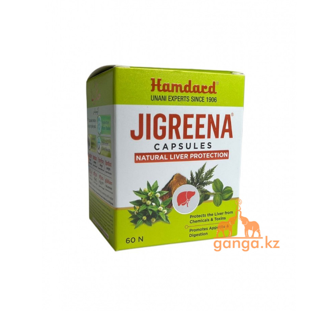 Джигрина - Комплексная защита печени (Jigreena), 60 кап., фото 1