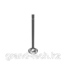 Клапан выпускной (IPD), фото 1