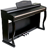 Цифровое (электро) пианино Shusiman M905, фото 2