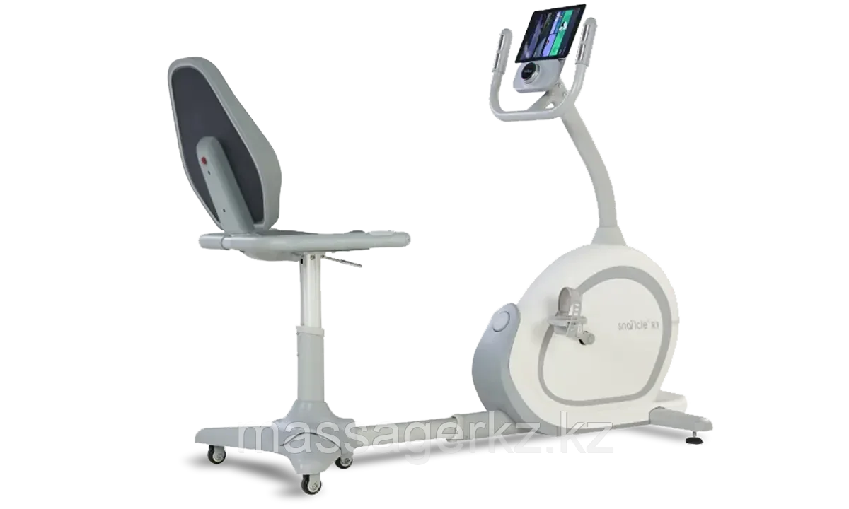 Горизонтальный велотренажер Hasttings Snailcle R1, фото 1