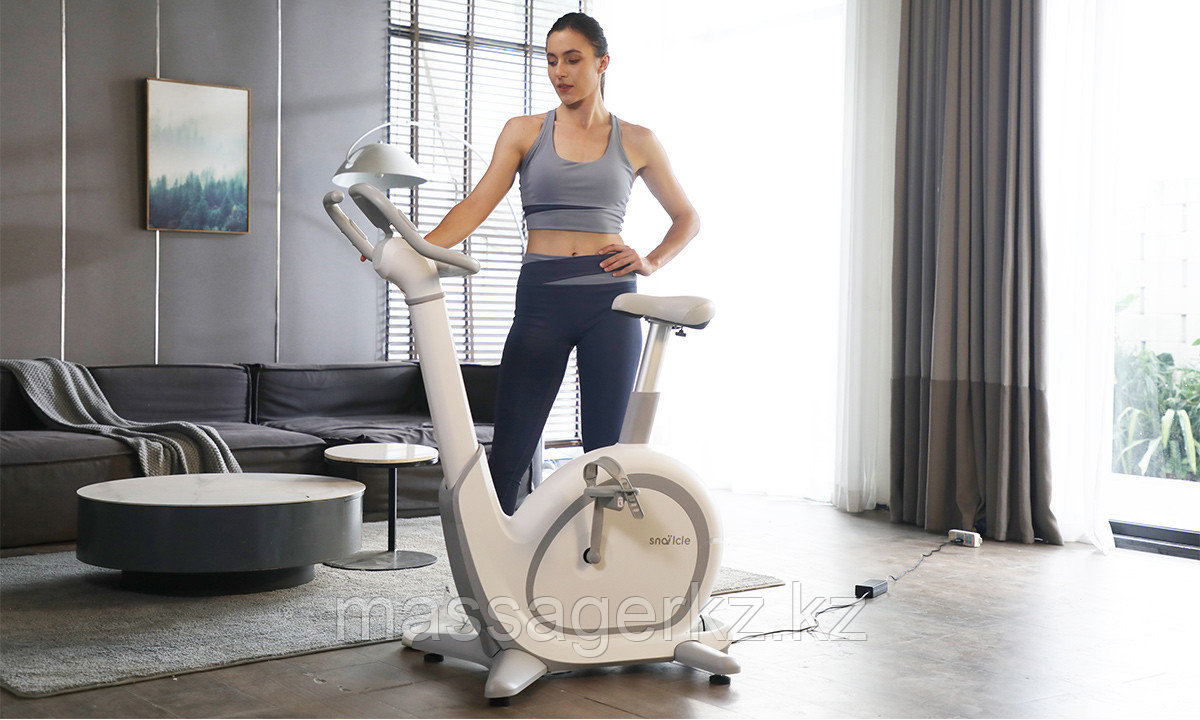Велотренажер Hasttings Snailcle S1, фото 1