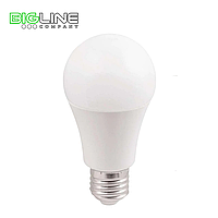 Лампа светодиодная ECO А60 шар 9W 230В 6500К E27 ИЭК