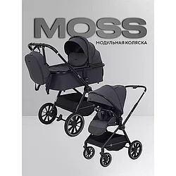 Коляска 2 в 1 Rant Moss, graphite