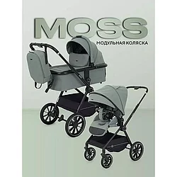 Коляска 2 в 1 Rant Moss, green