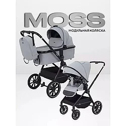 Коляска 2 в 1 Rant Moss, grey