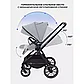 Коляска 2 в 1 Rant Moss, grey, фото 4