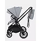 Коляска 2 в 1 Rant Moss, grey, фото 8