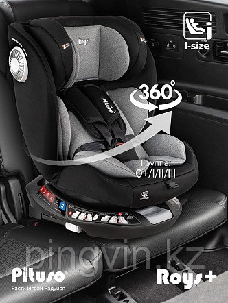 Pituso Удерживающее устройство для детей 0-36 кг Roys+ Black, grey  Inlay /Черный,Серый вкладыш, фото 1
