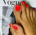 Однофазный гель-лак Milk Podo Line 06, 10мл, фото 8