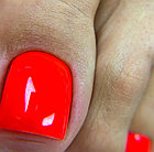 Однофазный гель-лак Milk Podo Line 06, 10мл, фото 6