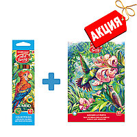 Цветные карандаши ArtBerry Jumbo, 6 цв. + Альбом для рисования ArtBerry, 10 л.