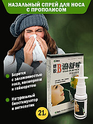 BISHUPEN Спрей для носа с прополисом, 21мл спрей 1 шт