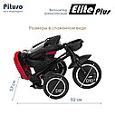 PITUSO Велосипед трехколесный Elite Plus Red Maroon/Темно-красный, фото 10