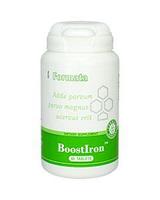 BoostIron™ (предотвращает развитие железодефицитной анемии) Железо